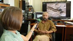 Примерна картинка за живопис